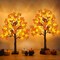 2 Pack 24 Inch Prelit Fall Maple Tree Thanksgiving Decorations with 48 LED Lights Timer Battery Operated Light Up Acorn Maple Tree for Thanksgiving Artificial Fall Autumn Home Indoor Halloween Decor
